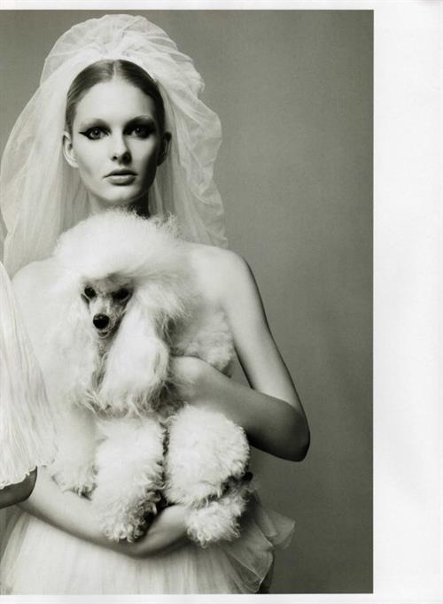 Sigrid Agren
