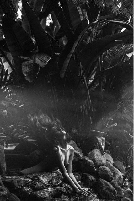 Faith Picozzi - breasts