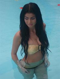 Anne Curtis in a bikini
