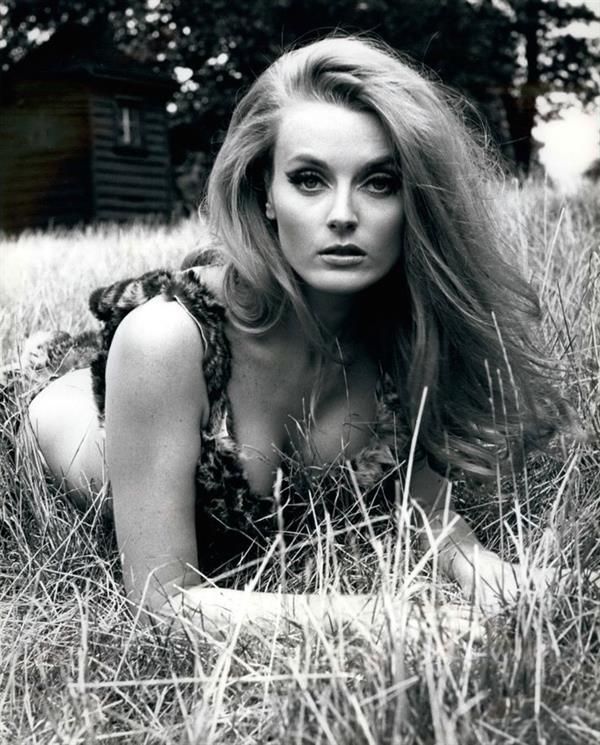 Celeste Yarnall