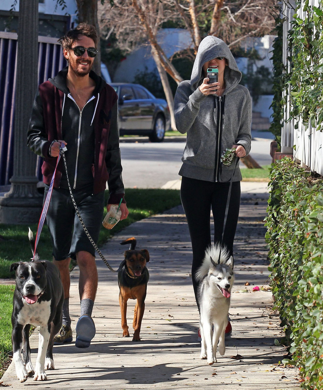 Miley Cyrus walking her dog in Studio City 1/28/13 