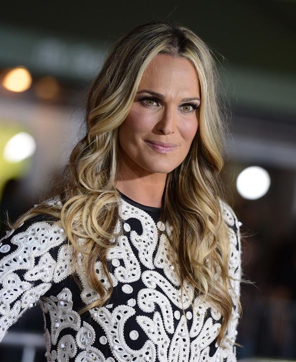 Molly Sims - Premiere of Universal Pictures' Identity Theft at the Village Theatre in Los Angeles (04.02.2013) 