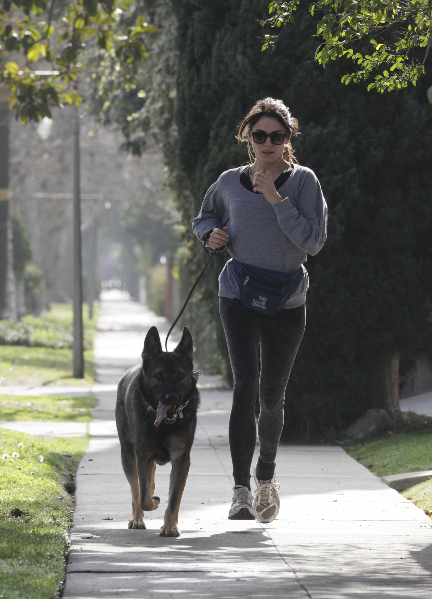 Nikki Reed jogging with her dog Enzo in Los Angeles on February 6, 2013