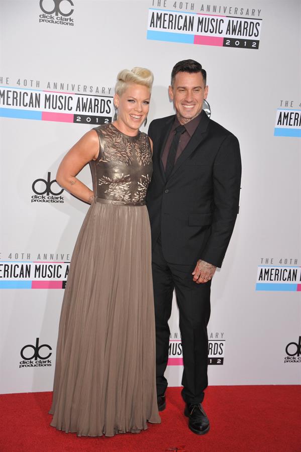 Pink American Music Awards (November 18, 2012) 