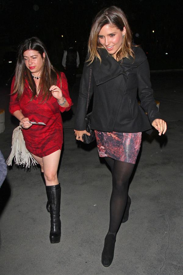 Sophia Bush at a Madonna concert at The Staples Center in LA on October 10, 2012 