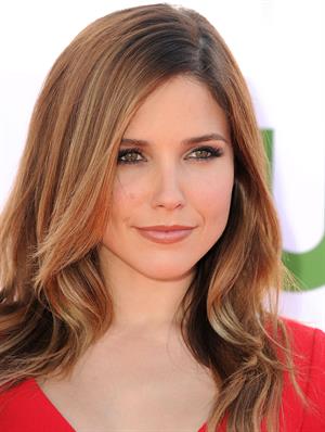 Sophia Bush arrives at the 2012 TCA Summer Tour - CBS, Showtime And The CW Party at 9900 Wilshire Blvd on July 29, 2012 in Beverly Hills, California