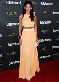 Angie Harmon at the 2014 Entertainment Weekly Pre-Emmy Party  August 23, 2014