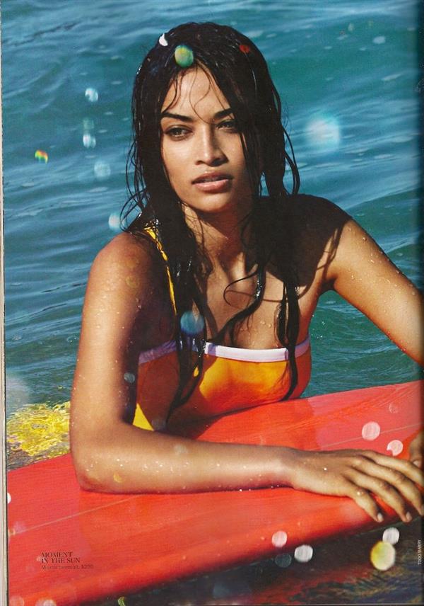 Shanina Shaik in a bikini