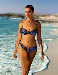 Shanina Shaik in a bikini