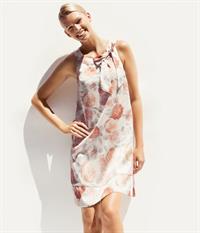 Shané van der Westhuizen