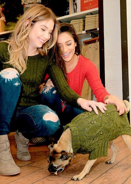 Shay Mitchell