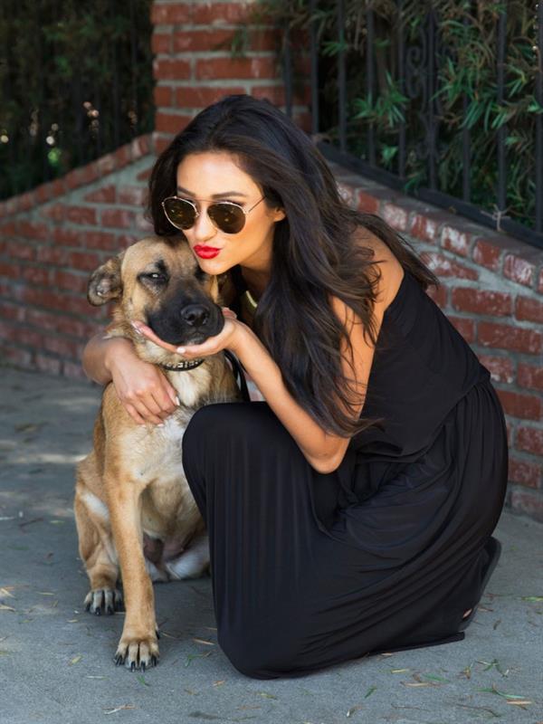 Shay Mitchell