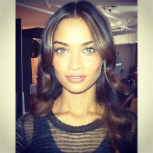 Shanina Shaik