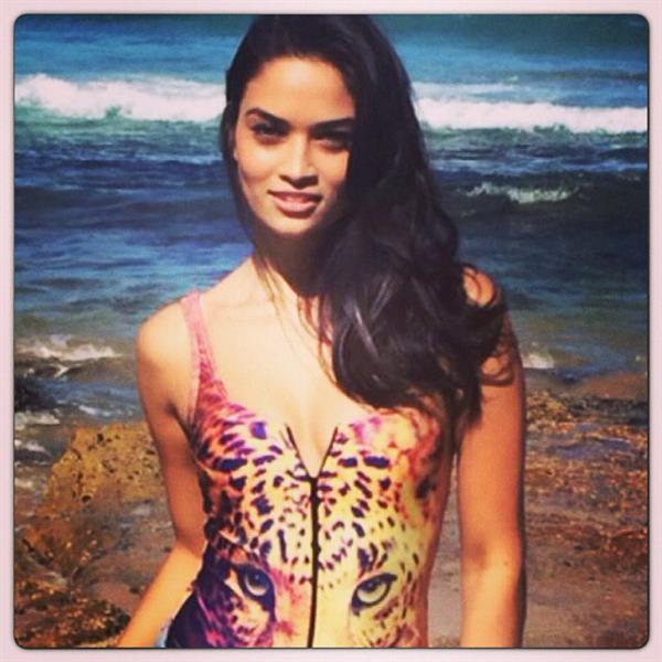 Shanina Shaik