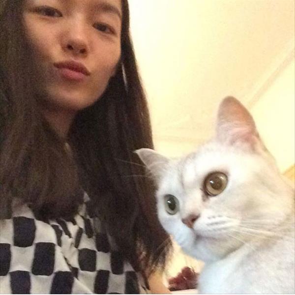 Fei Fei Sun