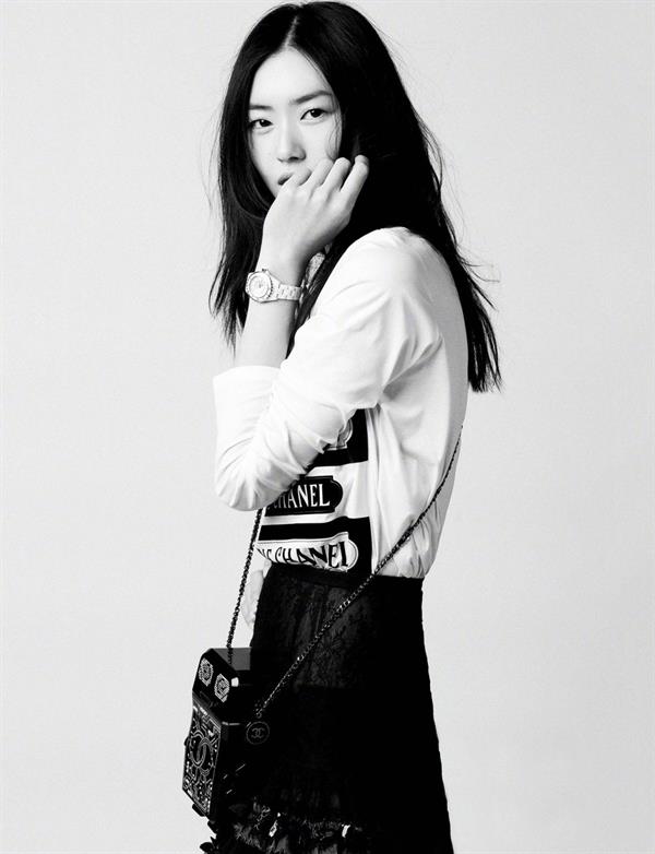 Liu Wen