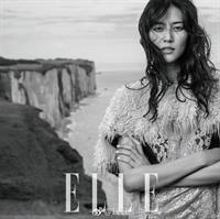 Liu Wen