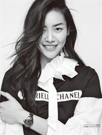 Liu Wen