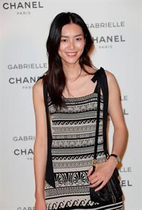 Liu Wen