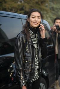 Liu Wen
