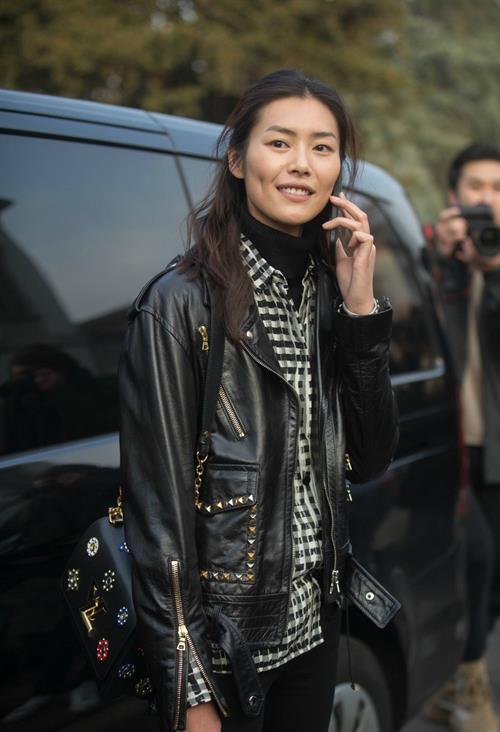 Liu Wen