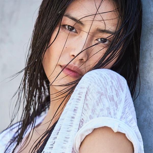 Liu Wen