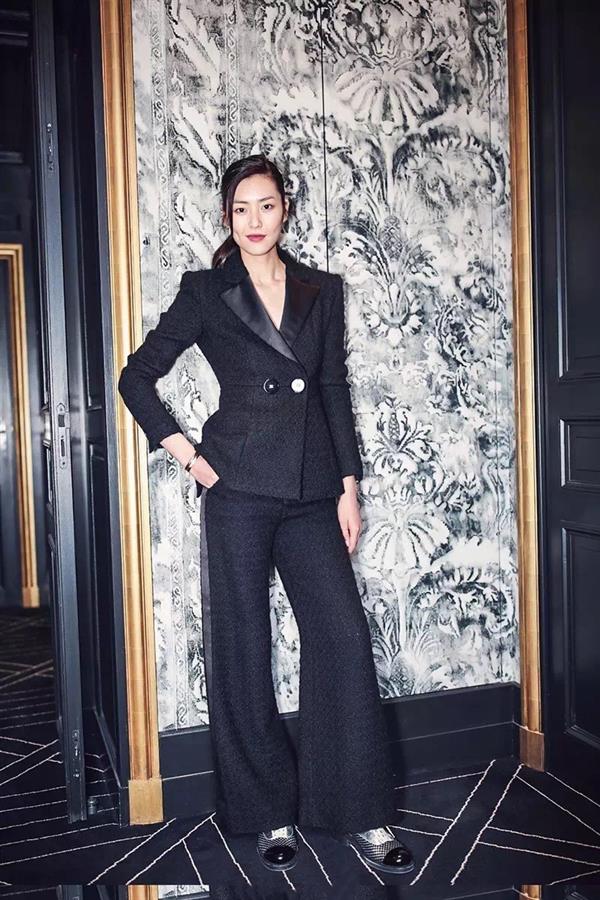 Liu Wen