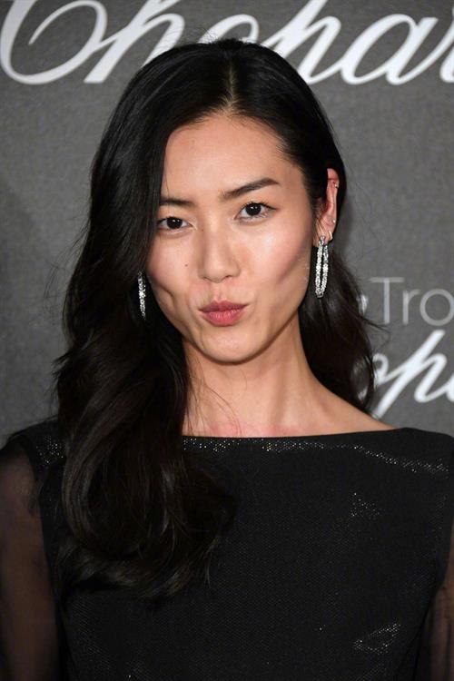 Liu Wen