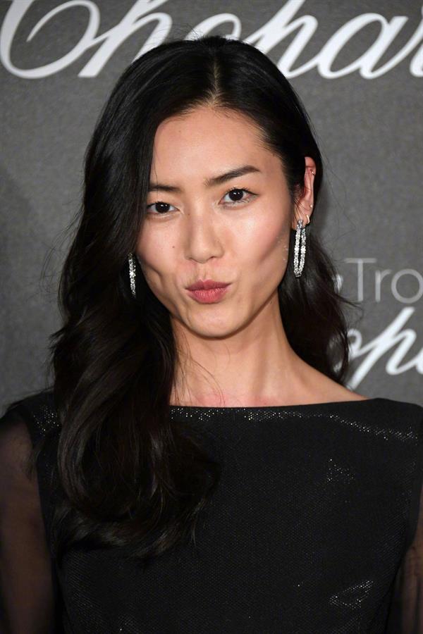 Liu Wen