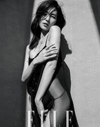 Liu Wen