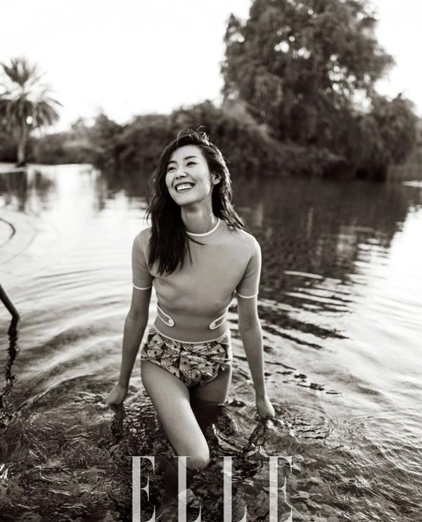 Liu Wen