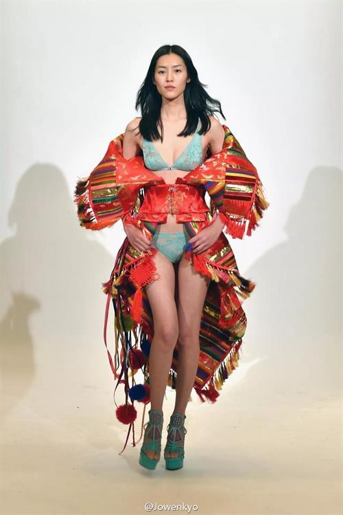 Liu Wen in lingerie