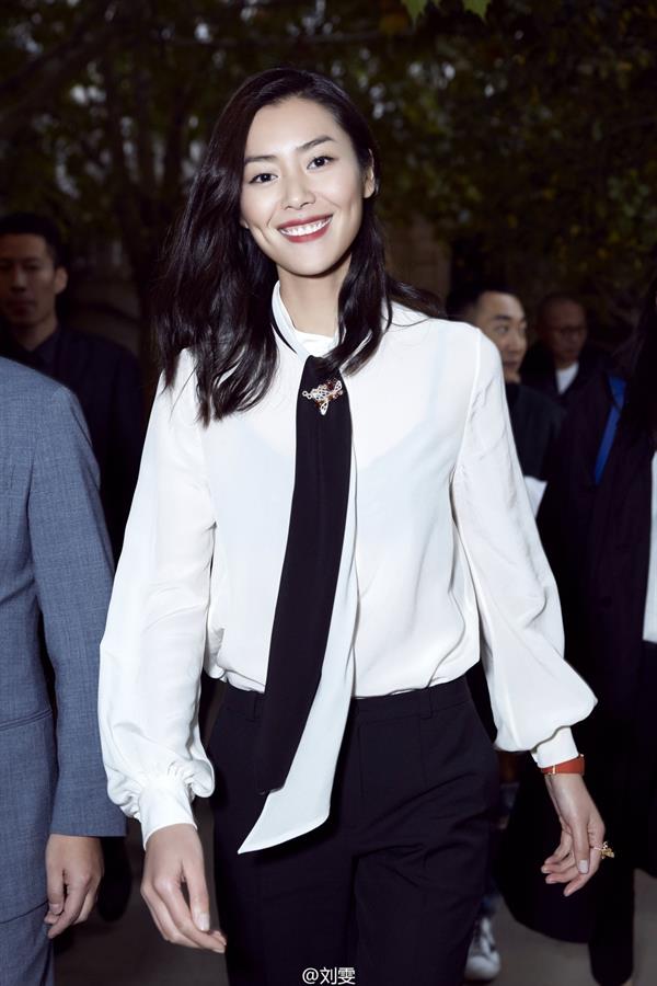 Liu Wen