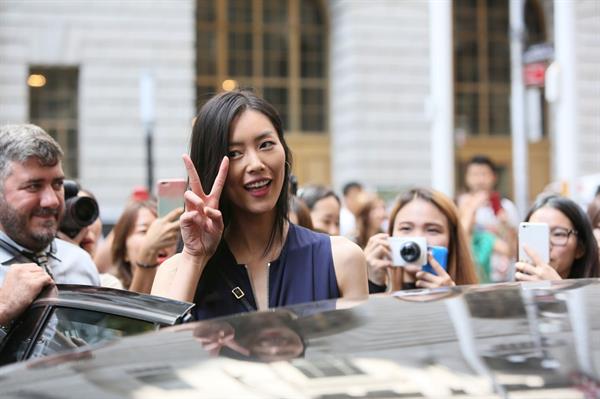 Liu Wen