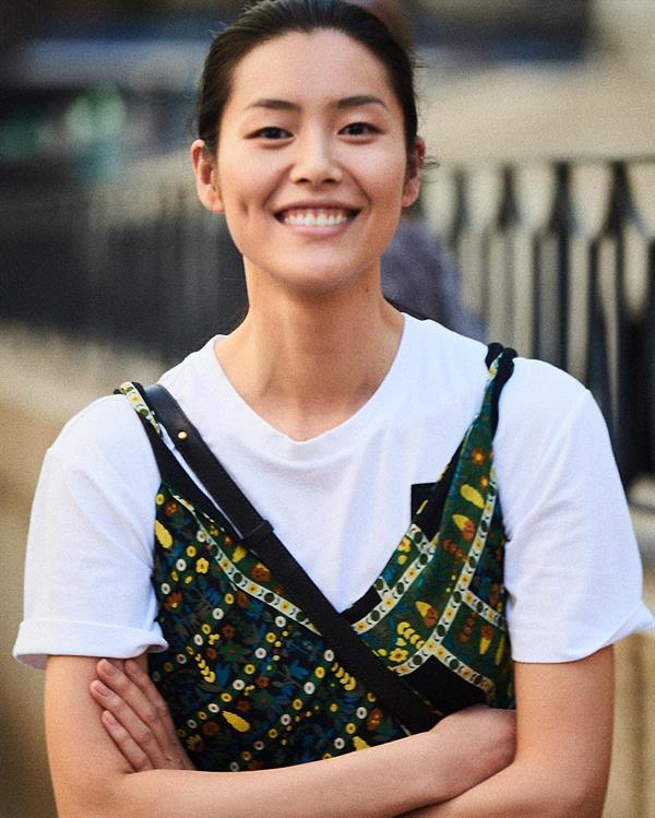 Liu Wen