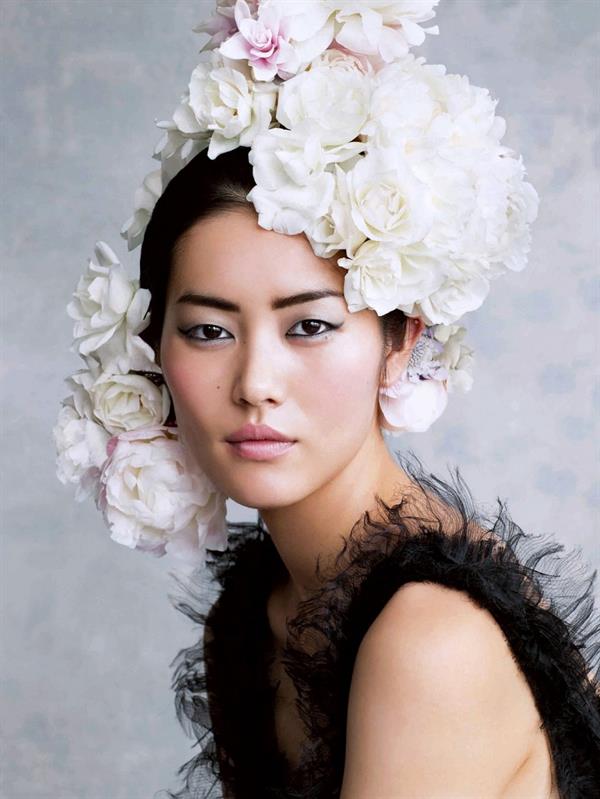 Liu Wen