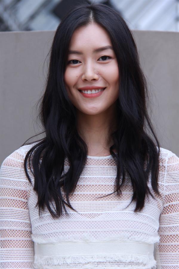 Liu Wen