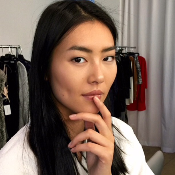 Liu Wen