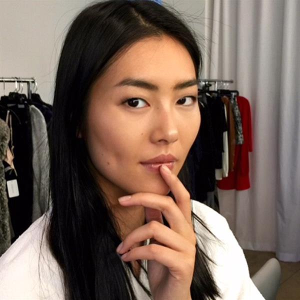 Liu Wen
