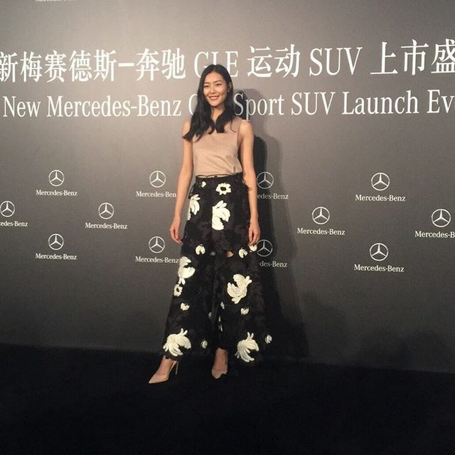 Liu Wen