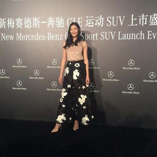 Liu Wen