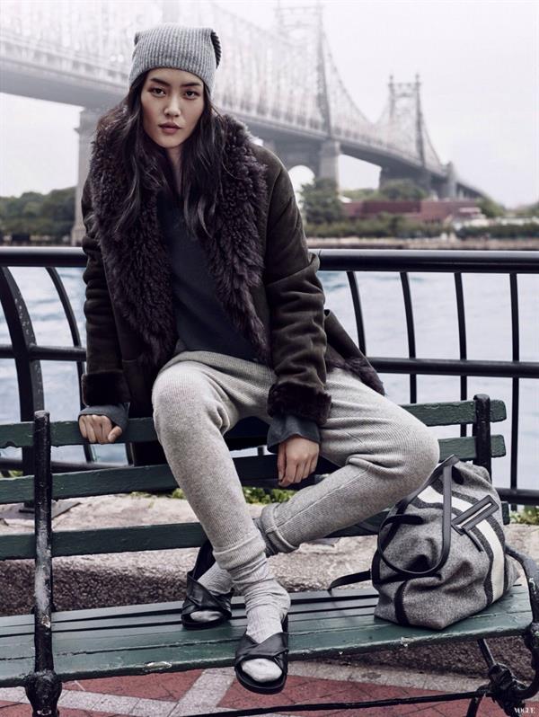 Liu Wen