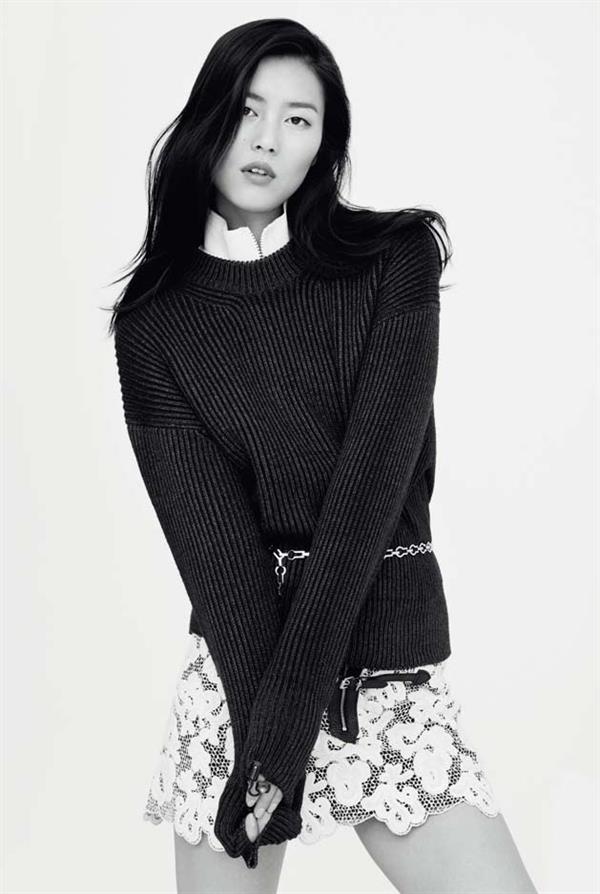 Liu Wen