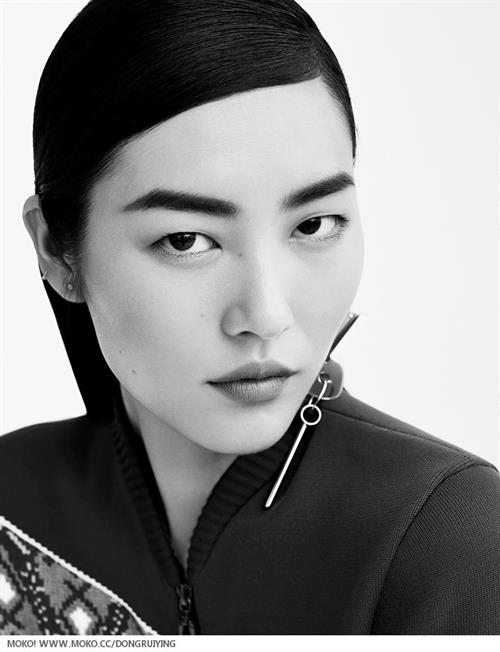 Liu Wen