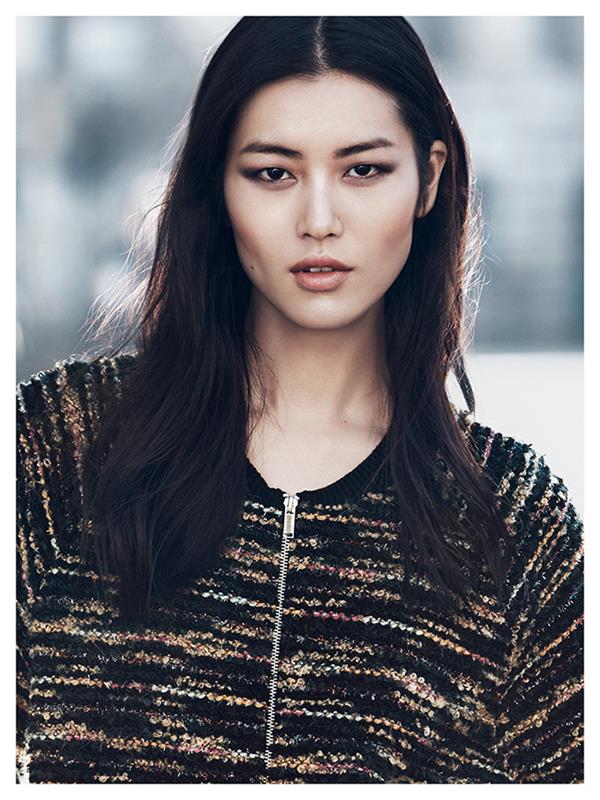 Liu Wen