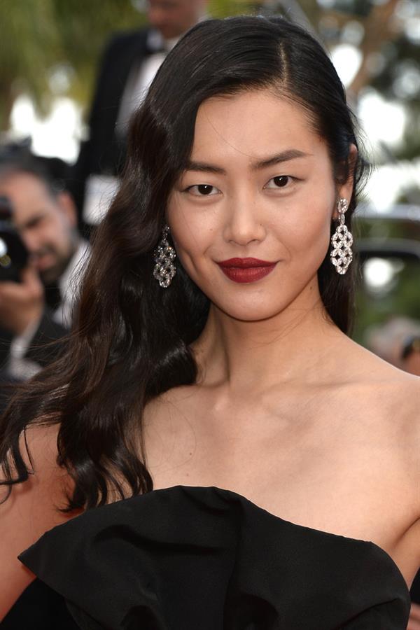 Liu Wen