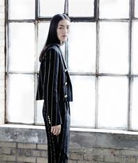 Liu Wen