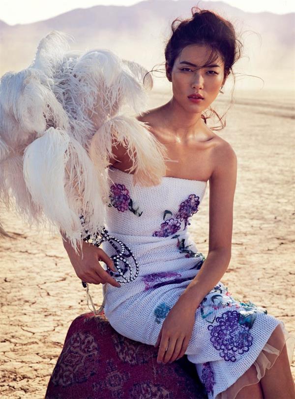 Liu Wen