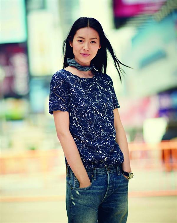 Liu Wen