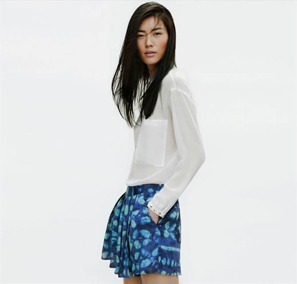 Liu Wen